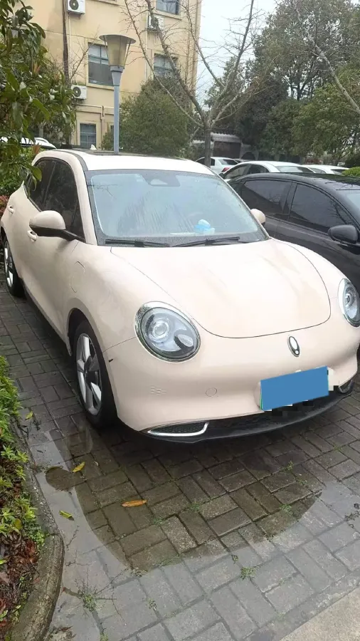 2023 Ora FunkyCat BEV 45.99KWH,autocango,china used car exporter,china ev exporter,chinese used car exporter,chinese used ev exporter