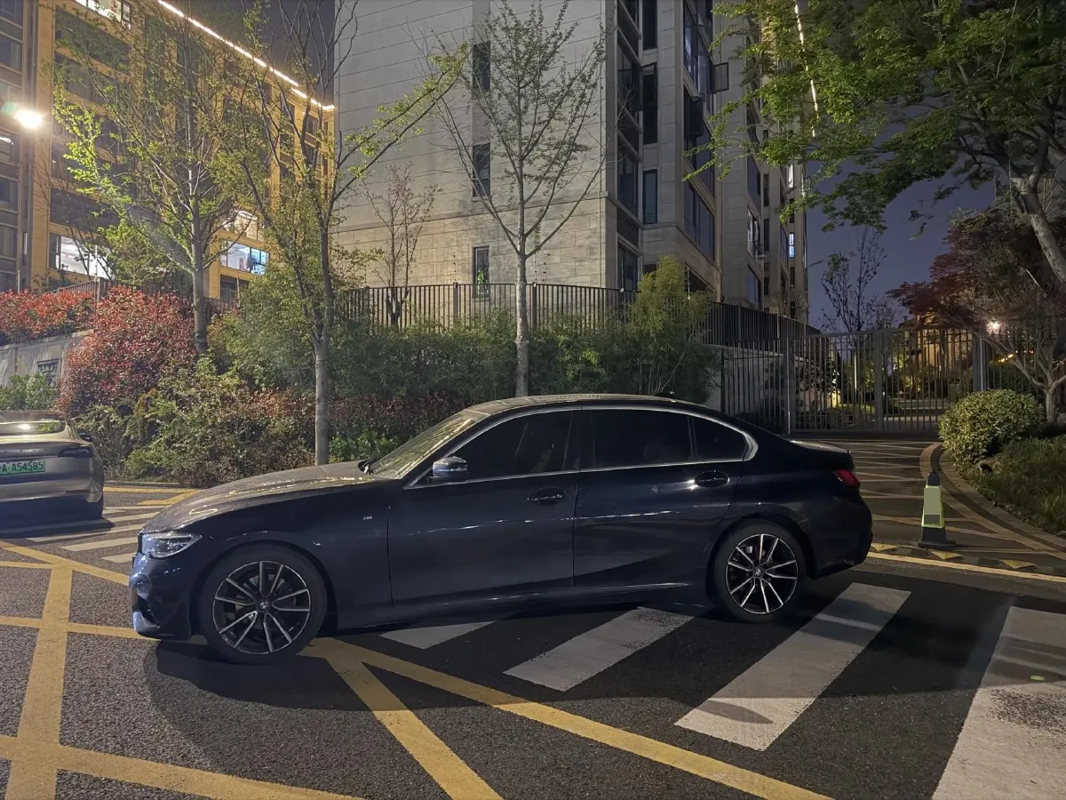 2020 BMW 3 Series 2.0T 184HP L4 8AT,autocango,china used car exporter,china ev exporter,chinese used car exporter,chinese used ev exporter