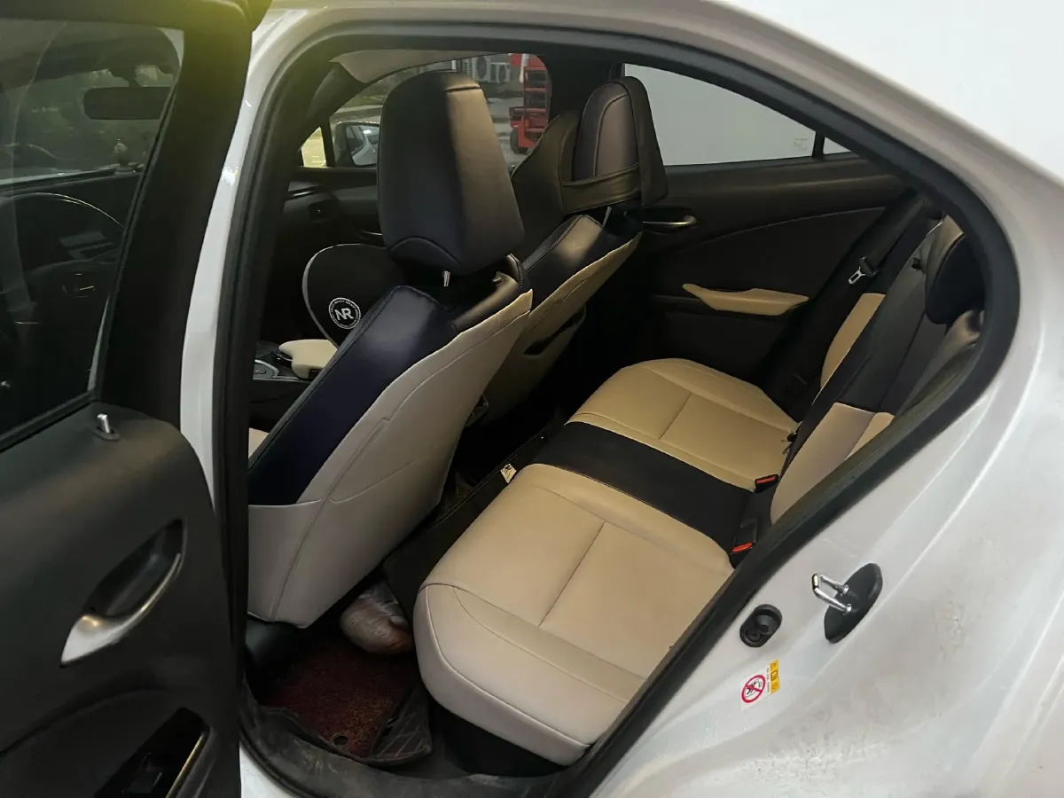 2019 Lexus UX 2.0L 146HP L4 E-CVT Hybrid,autocango,china used car exporter,china ev exporter,chinese used car exporter,chinese used ev exporter