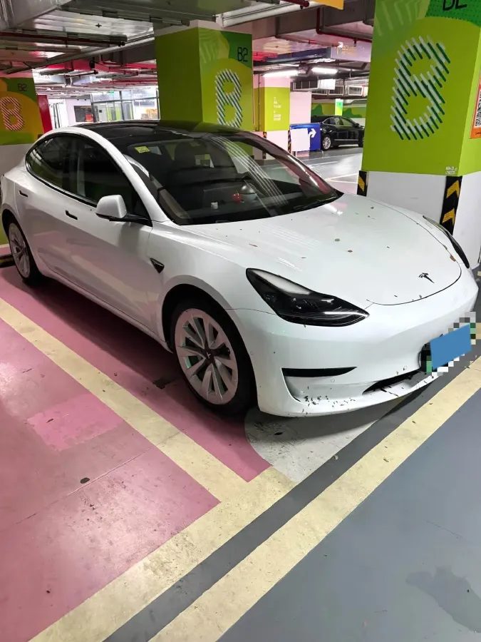 2021 Tesla Model 3 BEV 55KWH,autocango,china used car exporter,china ev exporter,chinese used car exporter,chinese used ev exporter