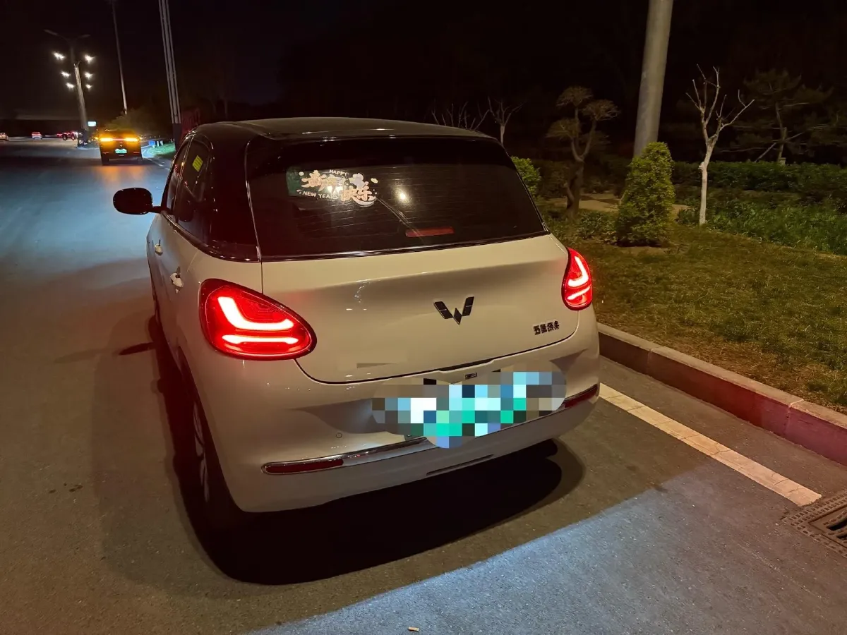 2023 WuLing BinGuo BEV 37.9KWH,autocango,china used car exporter,china ev exporter,chinese used car exporter,chinese used ev exporter