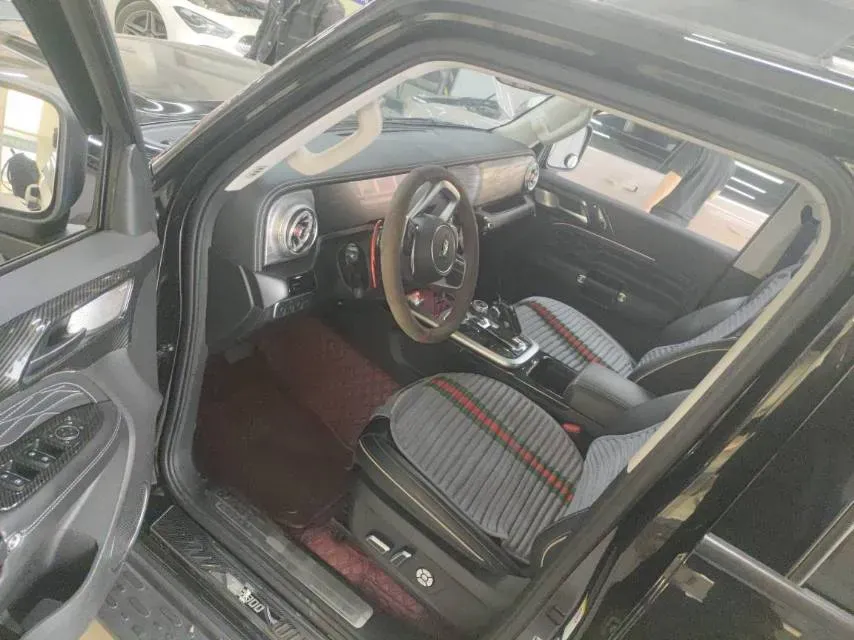 2021 Tank 300 2.0T 227HP L4 8AT,autocango,china used car exporter,china ev exporter,chinese used car exporter,chinese used ev exporter