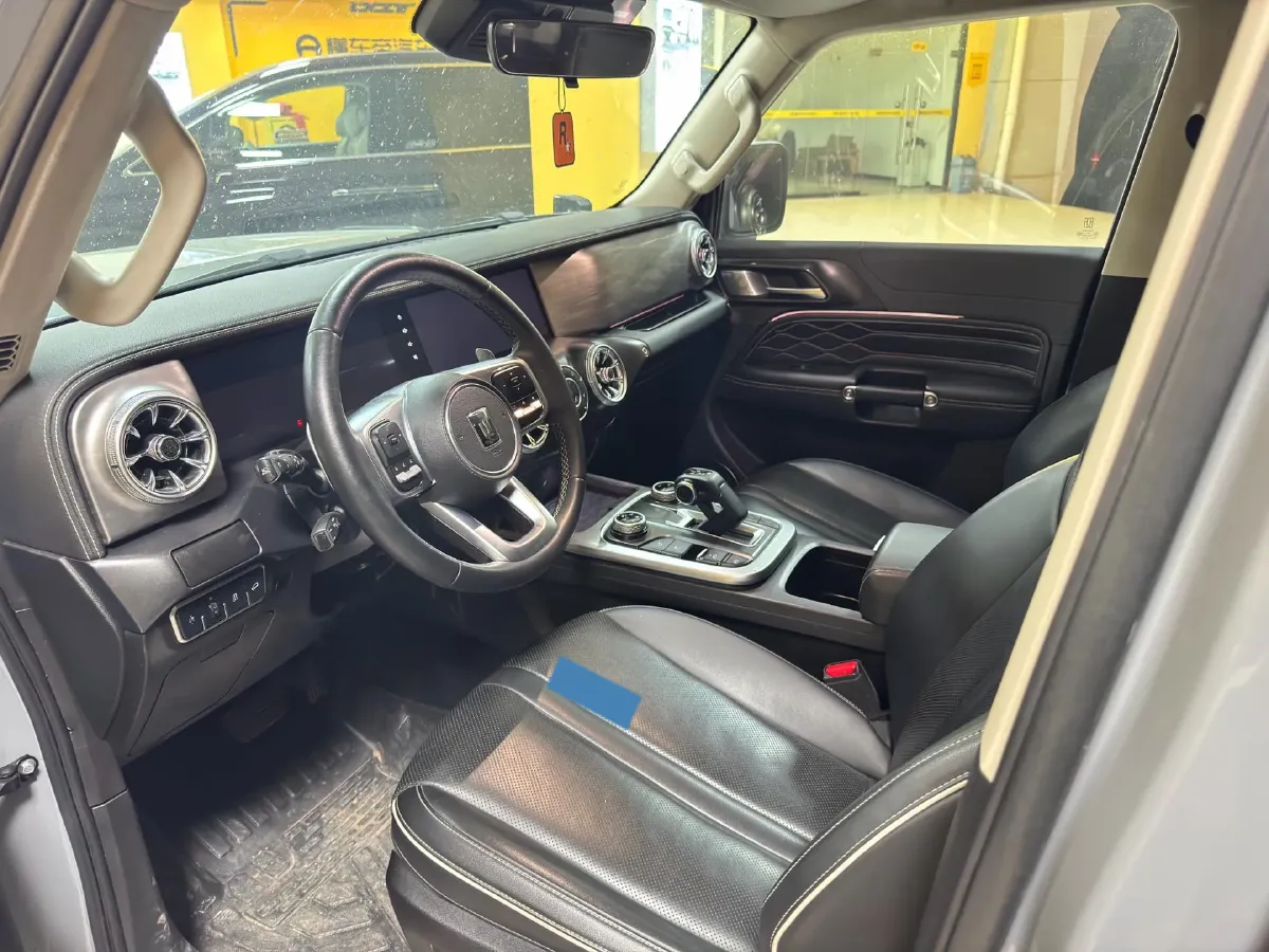 2021 Tank 300 2.0T 227HP L4 8AT,autocango,china used car exporter,china ev exporter,chinese used car exporter,chinese used ev exporter