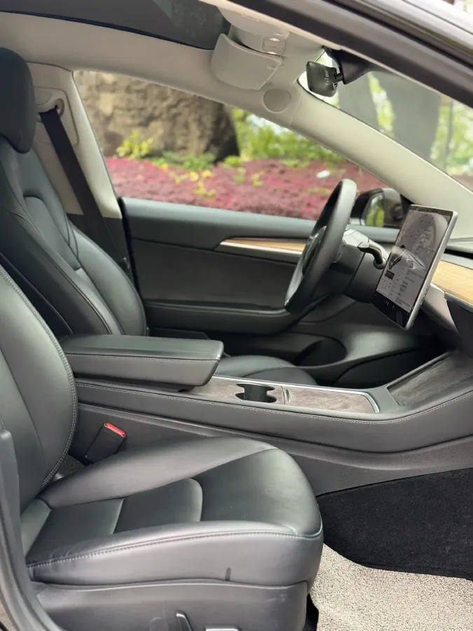 2021 Tesla Model 3 BEV 55KWH,autocango,china used car exporter,china ev exporter,chinese used car exporter,chinese used ev exporter