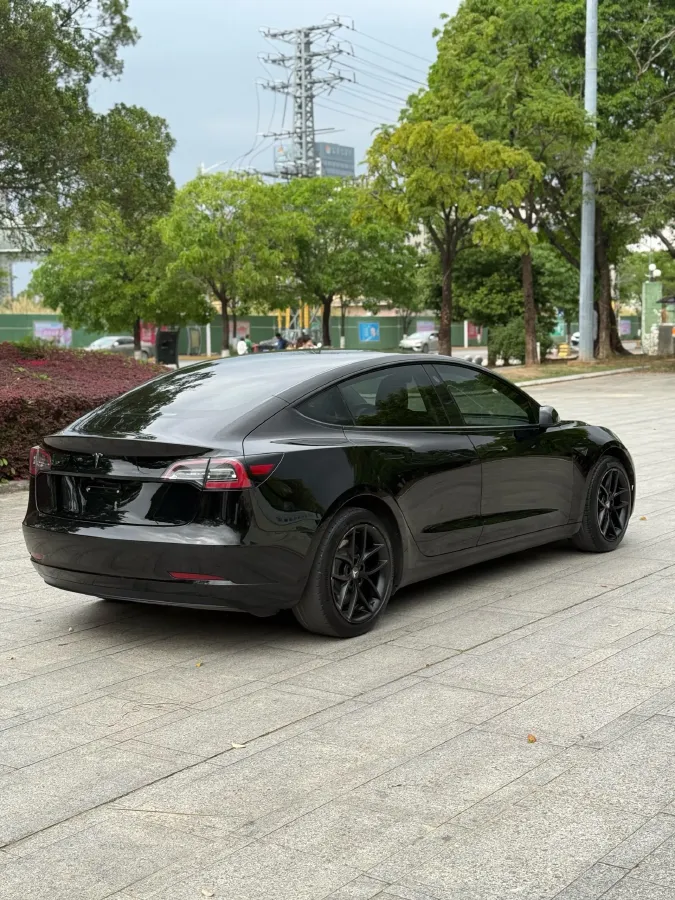 2021 Tesla Model 3 BEV 55KWH,autocango,china used car exporter,china ev exporter,chinese used car exporter,chinese used ev exporter