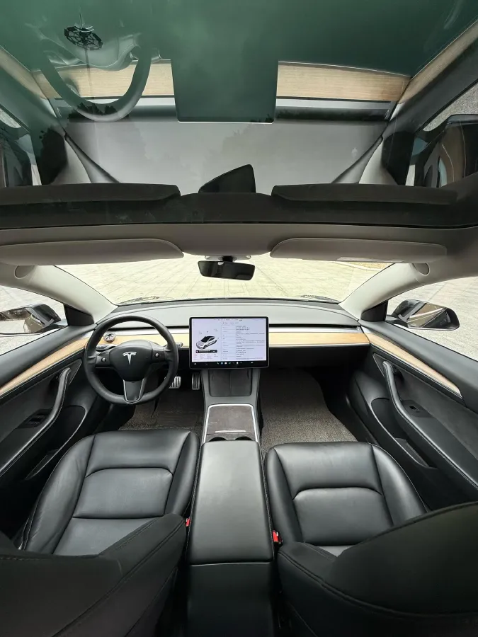 2021 Tesla Model 3 BEV 55KWH,autocango,china used car exporter,china ev exporter,chinese used car exporter,chinese used ev exporter