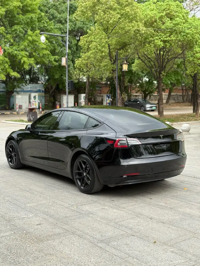 2021 Tesla Model 3 BEV 55KWH,autocango,china used car exporter,china ev exporter,chinese used car exporter,chinese used ev exporter