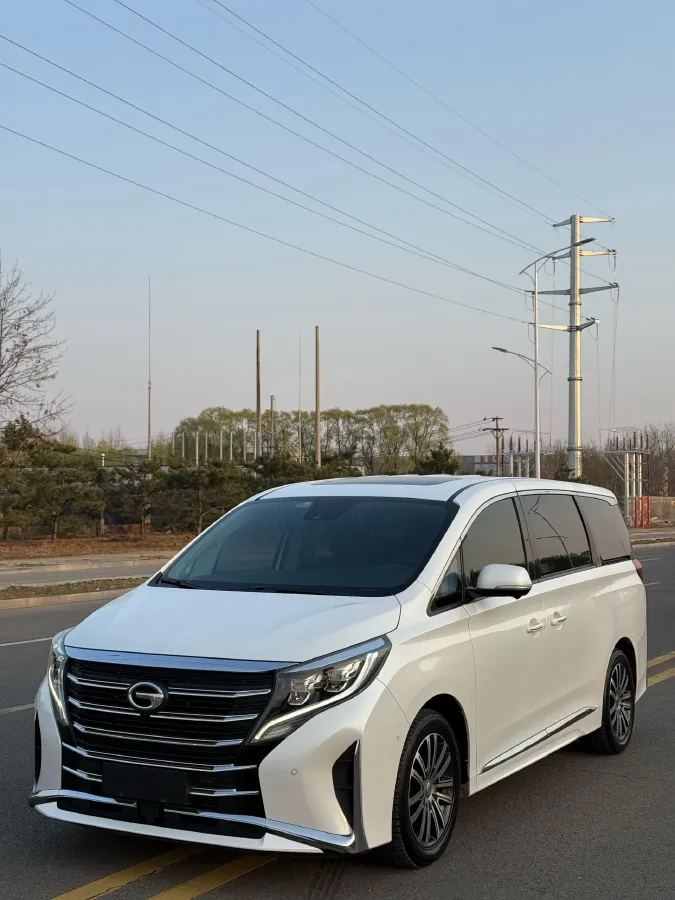 2021 GAC Trumpchi M8 2.0T 252HP L4 8AT,autocango,china used car exporter,china ev exporter,chinese used car exporter,chinese used ev exporter