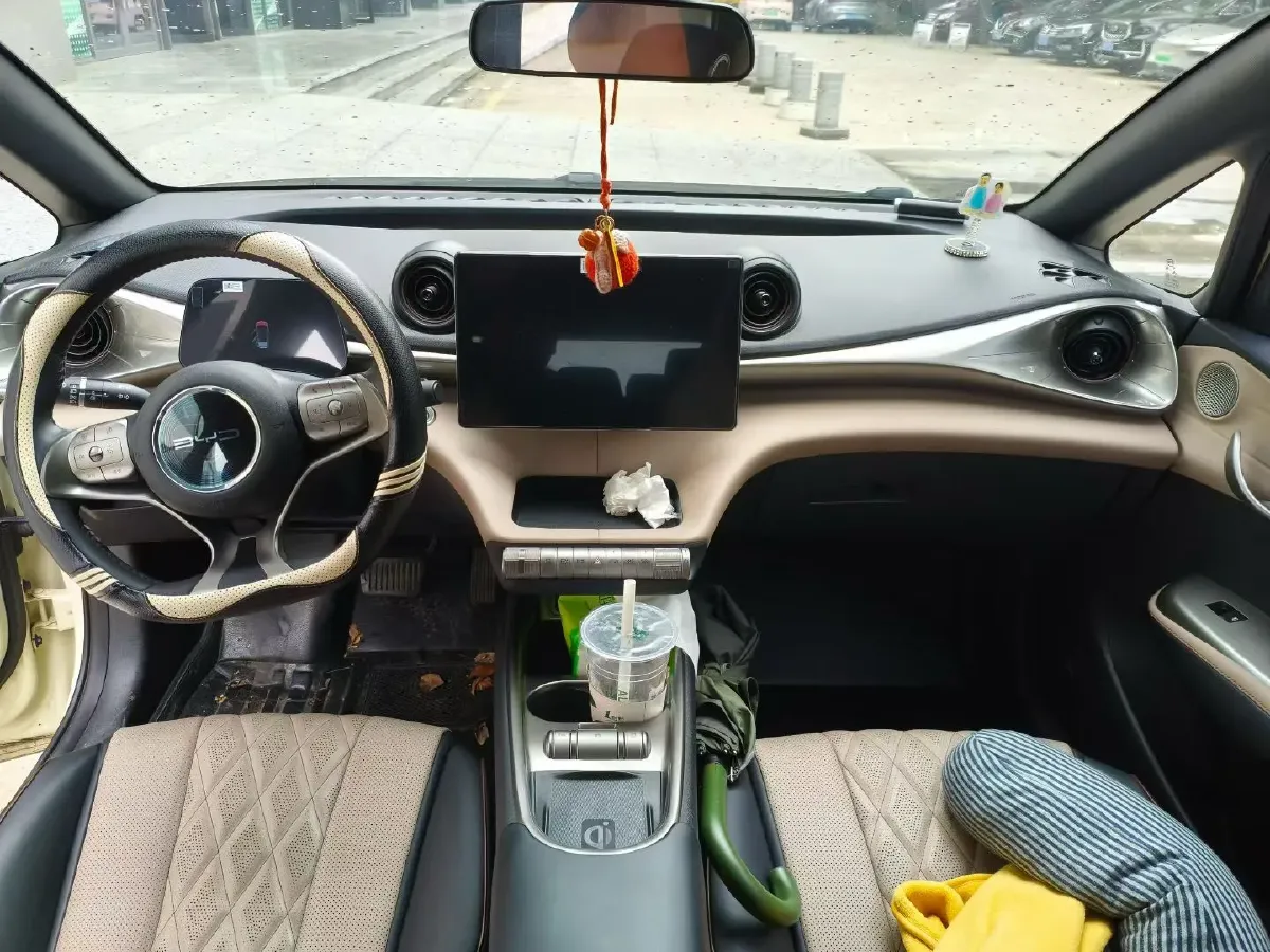 2021 BYD Yuan Pro BEV 50.1KWH,autocango,china used car exporter,china ev exporter,chinese used car exporter,chinese used ev exporter