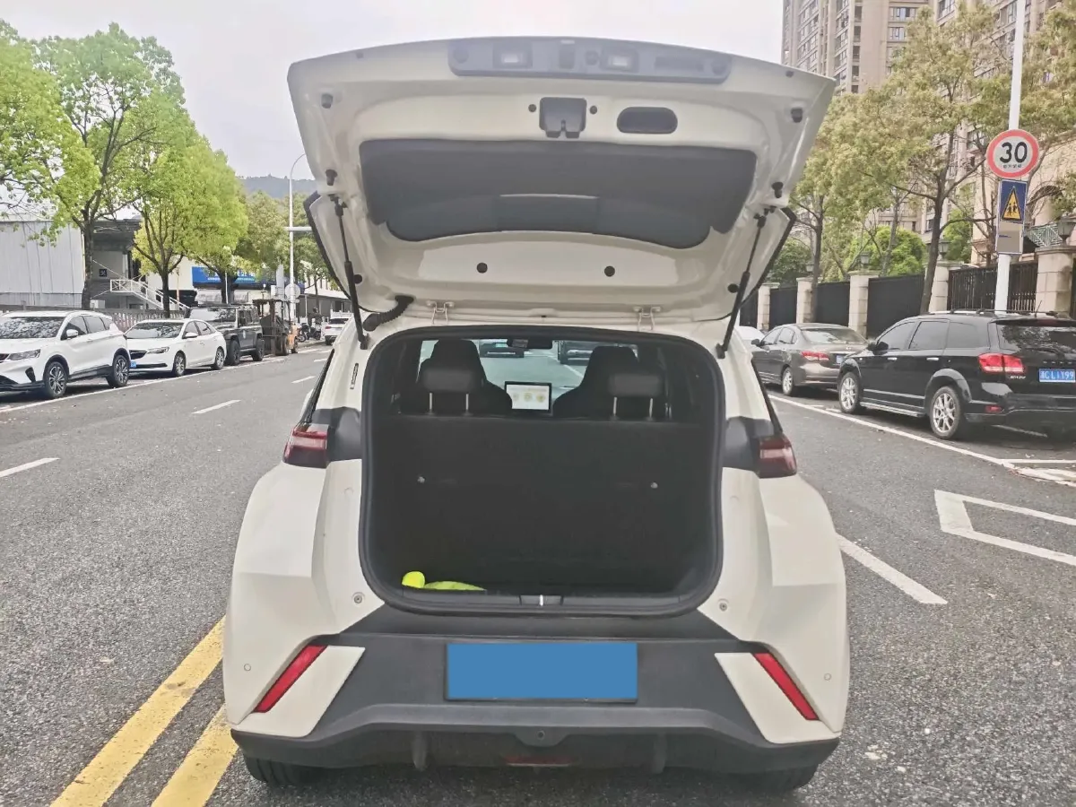 2023 BYD Seagull BEV 30.08KWH,autocango,china used car exporter,china ev exporter,chinese used car exporter,chinese used ev exporter