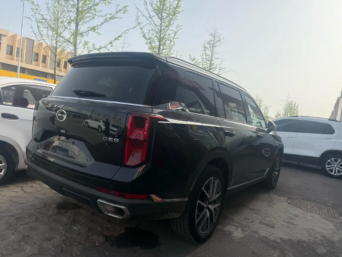 2024 GAC Trumpchi GS8 2.0T 252HP L4 8AT,autocango,china used car exporter,china ev exporter,chinese used car exporter,chinese used ev exporter