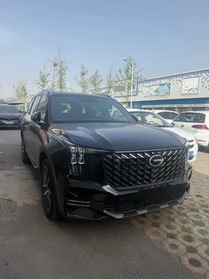 2024 GAC Trumpchi GS8 2.0T 252HP L4 8AT,autocango,china used car exporter,china ev exporter,chinese used car exporter,chinese used ev exporter