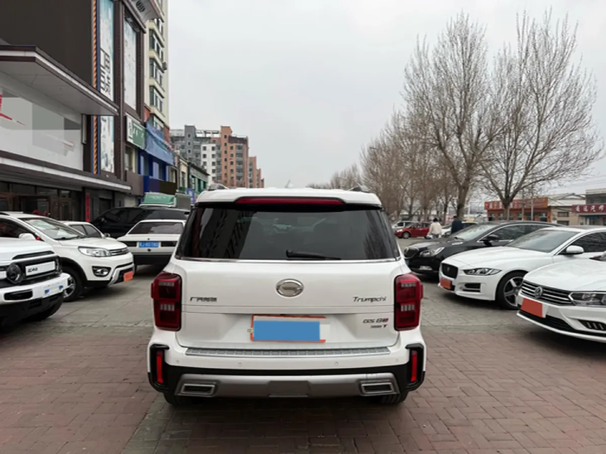 2020 GAC Trumpchi GS8 2.0T 252HP L4 6AT,autocango,china used car exporter,china ev exporter,chinese used car exporter,chinese used ev exporter
