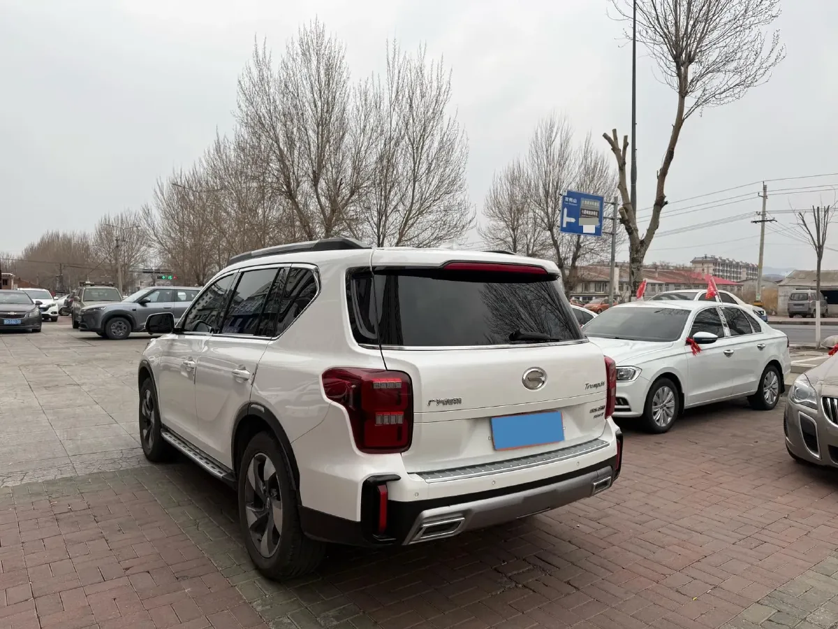 2020 GAC Trumpchi GS8 2.0T 252HP L4 6AT,autocango,china used car exporter,china ev exporter,chinese used car exporter,chinese used ev exporter