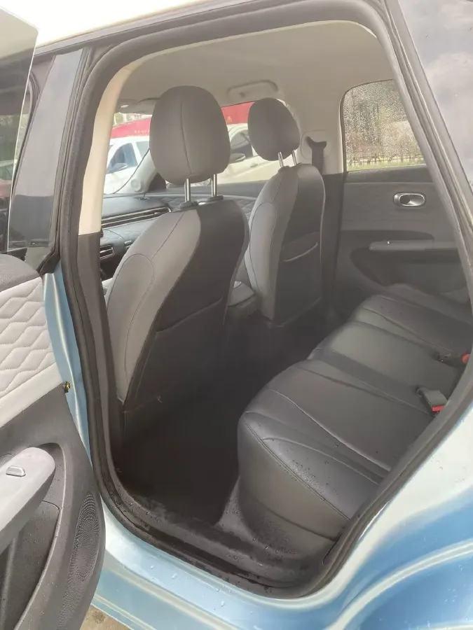 2024 DongFeng eπ 01 BEV 42.3KWH,autocango,china used car exporter,china ev exporter,chinese used car exporter,chinese used ev exporter