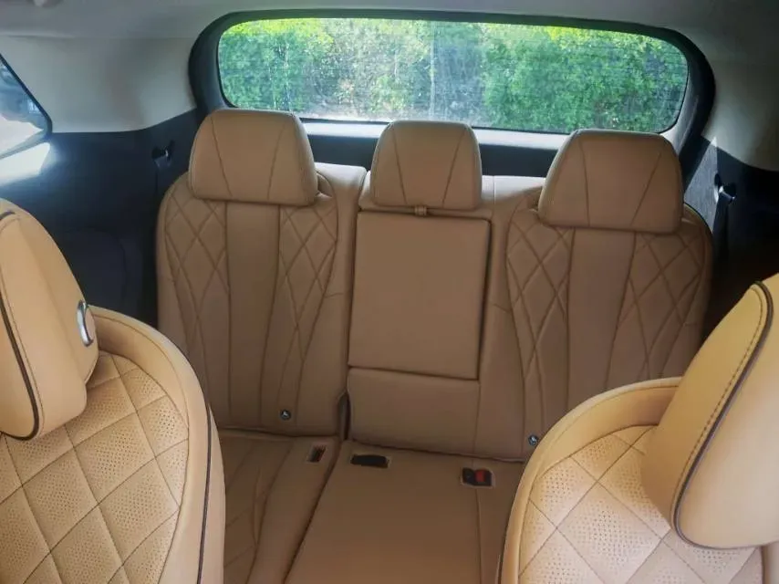 2024 Denza D9 1.5T 139HP L4 E-CVT PHEV 40KWH,autocango,china used car exporter,china ev exporter,chinese used car exporter,chinese used ev exporter