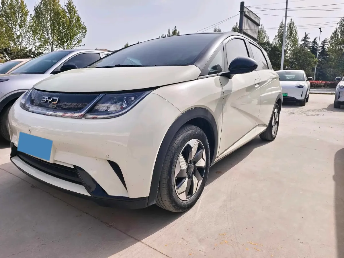 2025 BYD Dolphin BEV 44.928KWH,autocango,china used car exporter,china ev exporter,chinese used car exporter,chinese used ev exporter