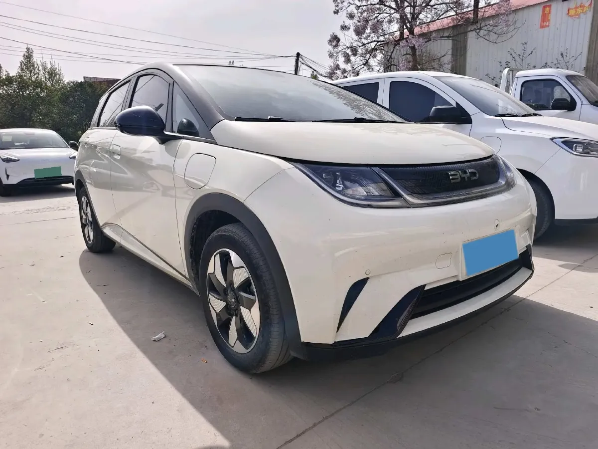 2025 BYD Dolphin BEV 44.928KWH,autocango,china used car exporter,china ev exporter,chinese used car exporter,chinese used ev exporter