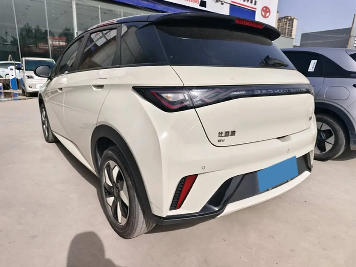 2025 BYD Dolphin BEV 44.928KWH,autocango,china used car exporter,china ev exporter,chinese used car exporter,chinese used ev exporter