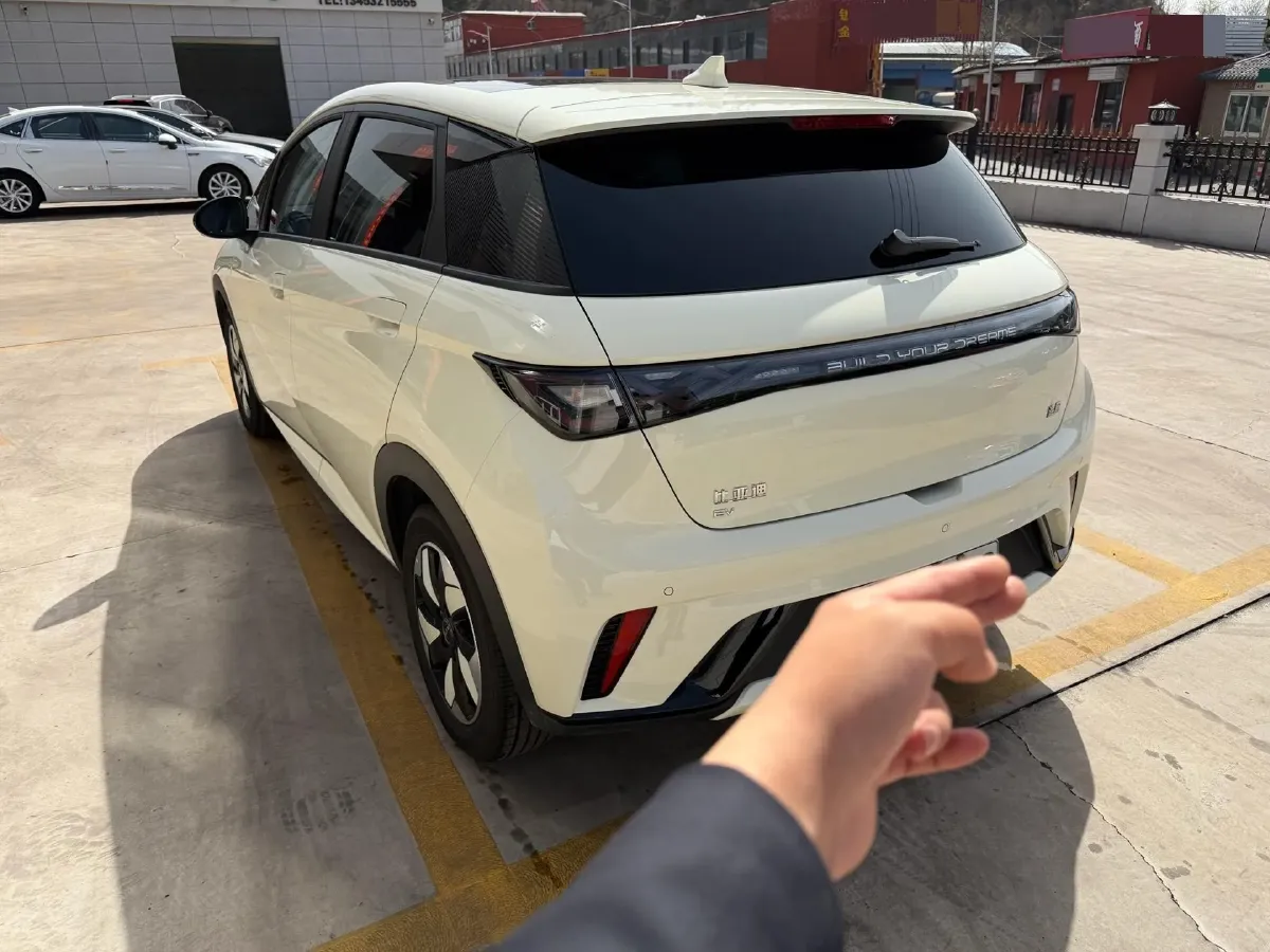 2025 BYD Dolphin BEV 44.928KWH,autocango,china used car exporter,china ev exporter,chinese used car exporter,chinese used ev exporter