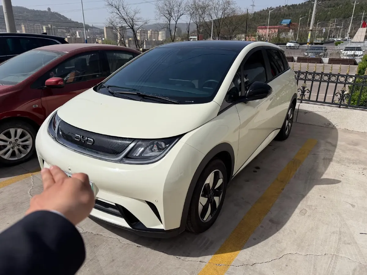 2025 BYD Dolphin BEV 44.928KWH,autocango,china used car exporter,china ev exporter,chinese used car exporter,chinese used ev exporter