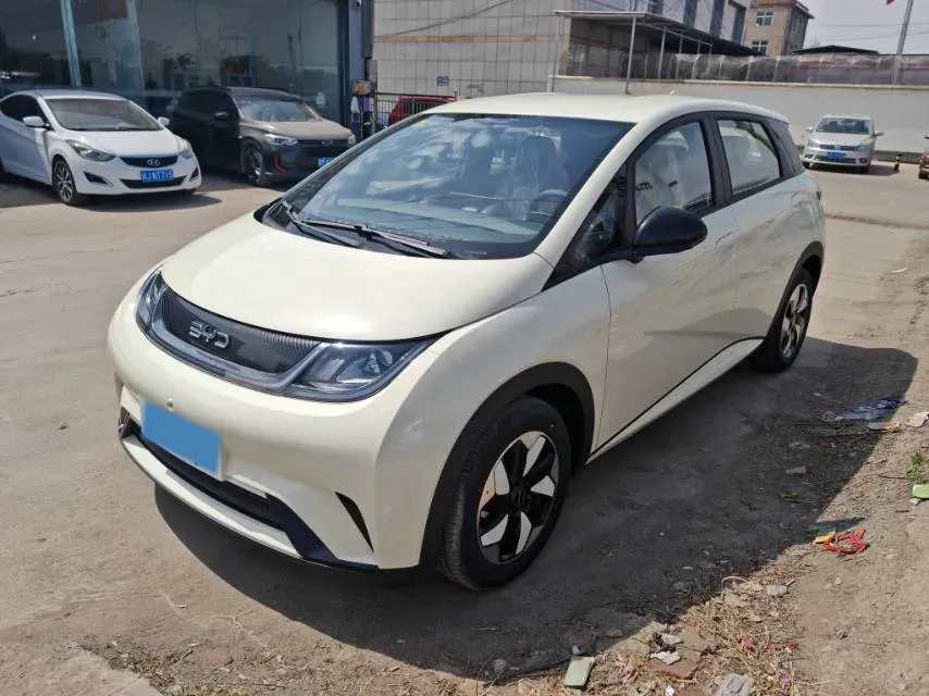 2025 BYD Dolphin BEV 44.928KWH,autocango,china used car exporter,china ev exporter,chinese used car exporter,chinese used ev exporter