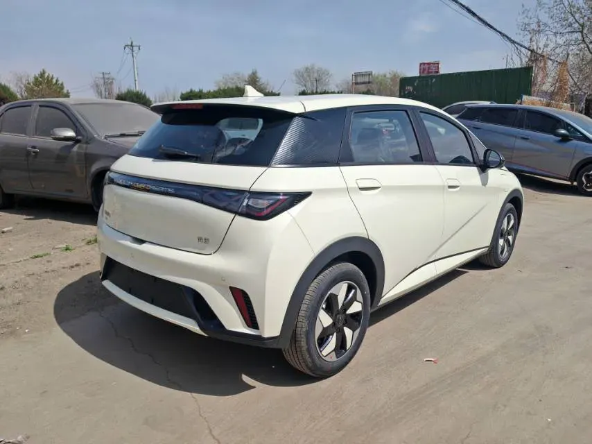 2025 BYD Dolphin BEV 44.928KWH,autocango,china used car exporter,china ev exporter,chinese used car exporter,chinese used ev exporter