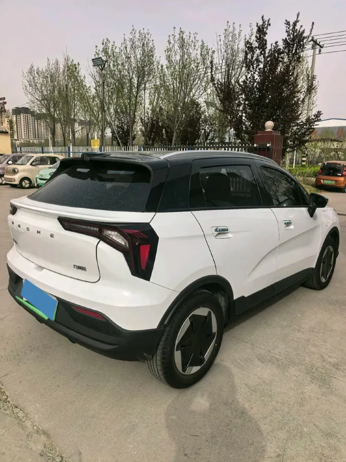 2024 Geometry E BEV 29.67KWH,autocango,china used car exporter,china ev exporter,chinese used car exporter,chinese used ev exporter