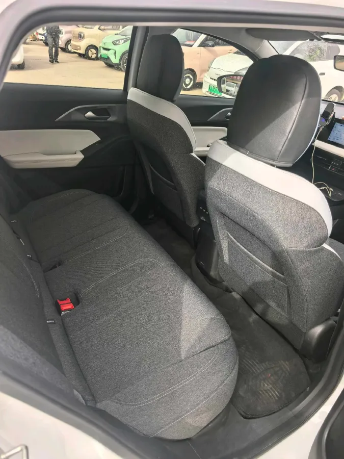 2024 Geometry E BEV 29.67KWH,autocango,china used car exporter,china ev exporter,chinese used car exporter,chinese used ev exporter