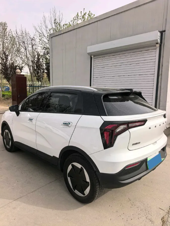 2024 Geometry E BEV 29.67KWH,autocango,china used car exporter,china ev exporter,chinese used car exporter,chinese used ev exporter