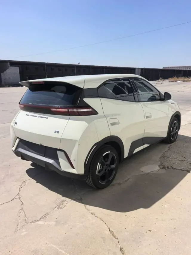 2023 BYD Seagull BEV 30.08KWH,autocango,china used car exporter,china ev exporter,chinese used car exporter,chinese used ev exporter