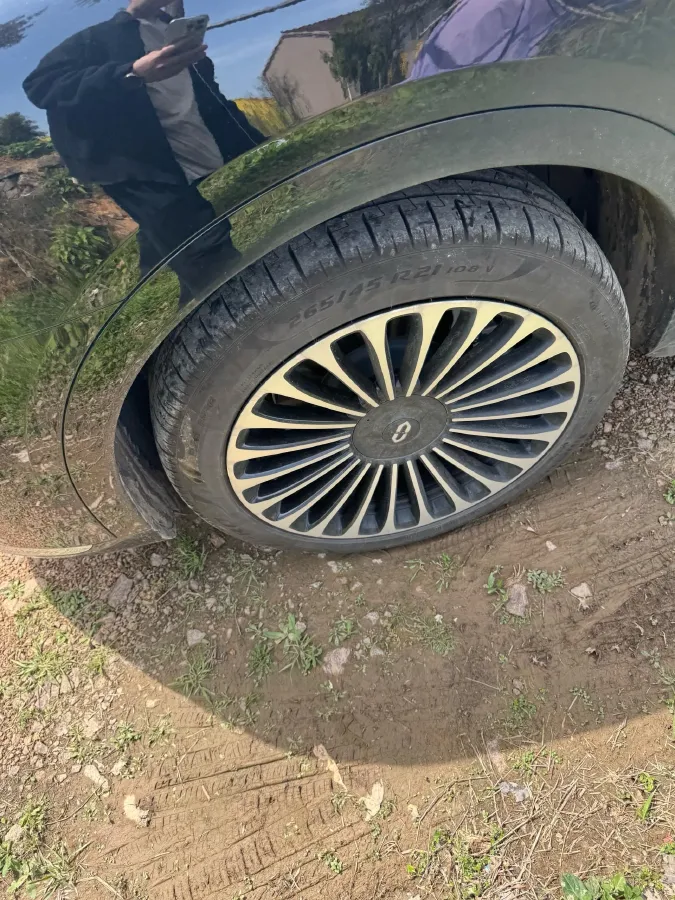 2025 AITO AITO M9 REEV 160HP REEV 52KWH,autocango,china used car exporter,china ev exporter,chinese used car exporter,chinese used ev exporter