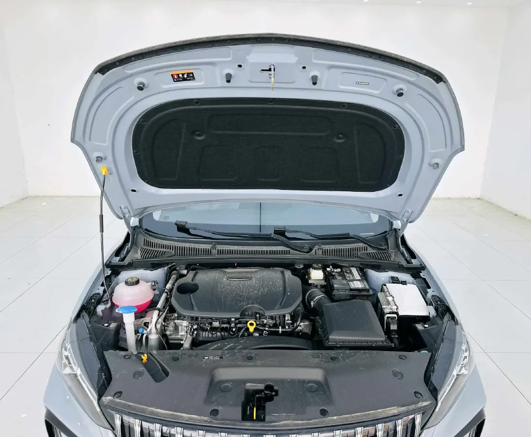 2024 Geely Binray 1.5T 181HP L4 7DCT,autocango,china used car exporter,china ev exporter,chinese used car exporter,chinese used ev exporter