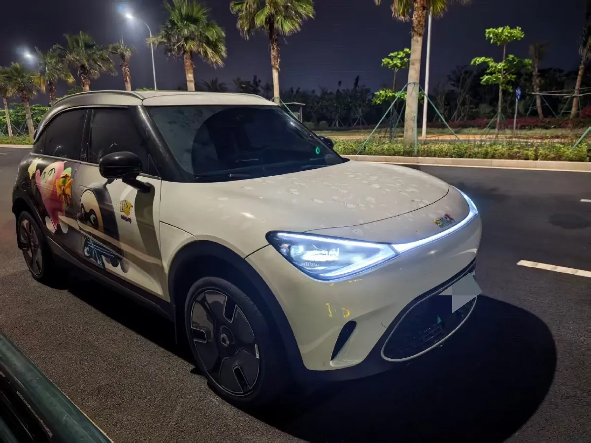 2024 Smart smart Elf 1 BEV 66KWH,autocango,china used car exporter,china ev exporter,chinese used car exporter,chinese used ev exporter