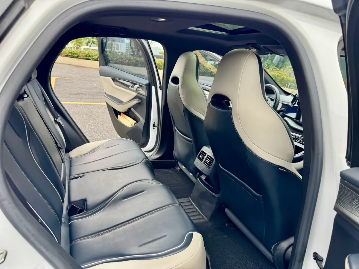 2021 DongFeng FuKang e Elysee BEV 30.7KWH,autocango,china used car exporter,china ev exporter,chinese used car exporter,chinese used ev exporter