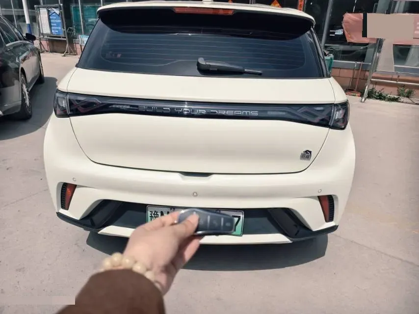 2023 BYD Dolphin BEV 44.928KWH,autocango,china used car exporter,china ev exporter,chinese used car exporter,chinese used ev exporter