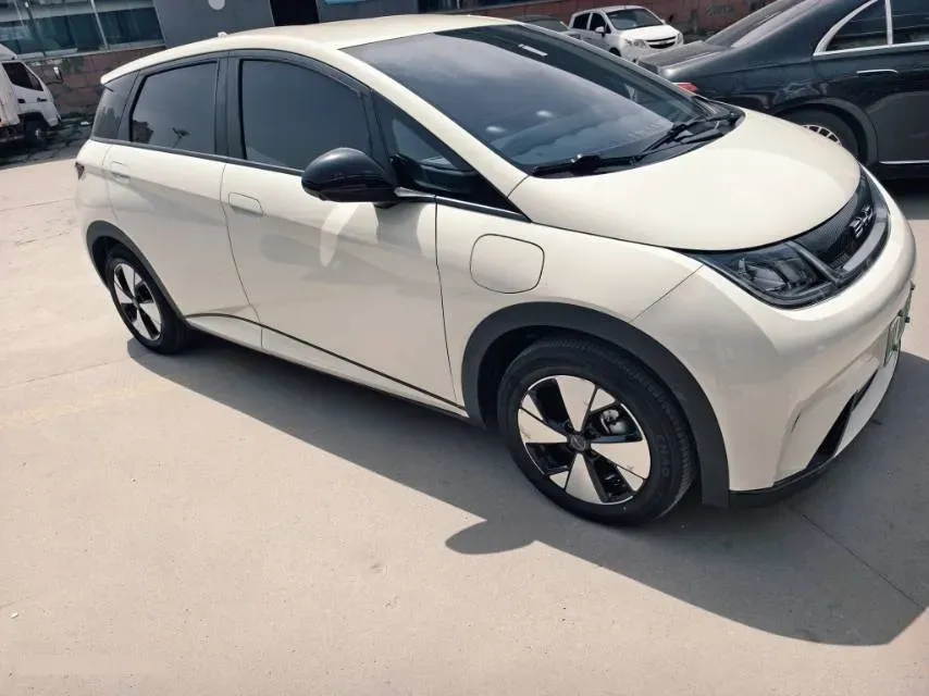 2023 BYD Dolphin BEV 44.928KWH,autocango,china used car exporter,china ev exporter,chinese used car exporter,chinese used ev exporter