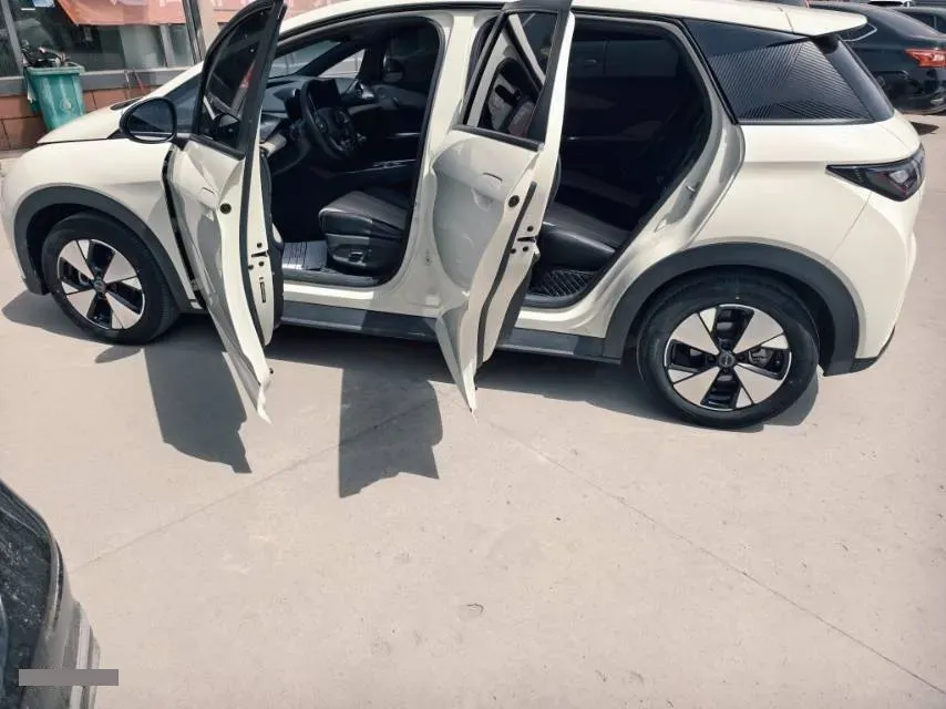 2023 BYD Dolphin BEV 44.928KWH,autocango,china used car exporter,china ev exporter,chinese used car exporter,chinese used ev exporter