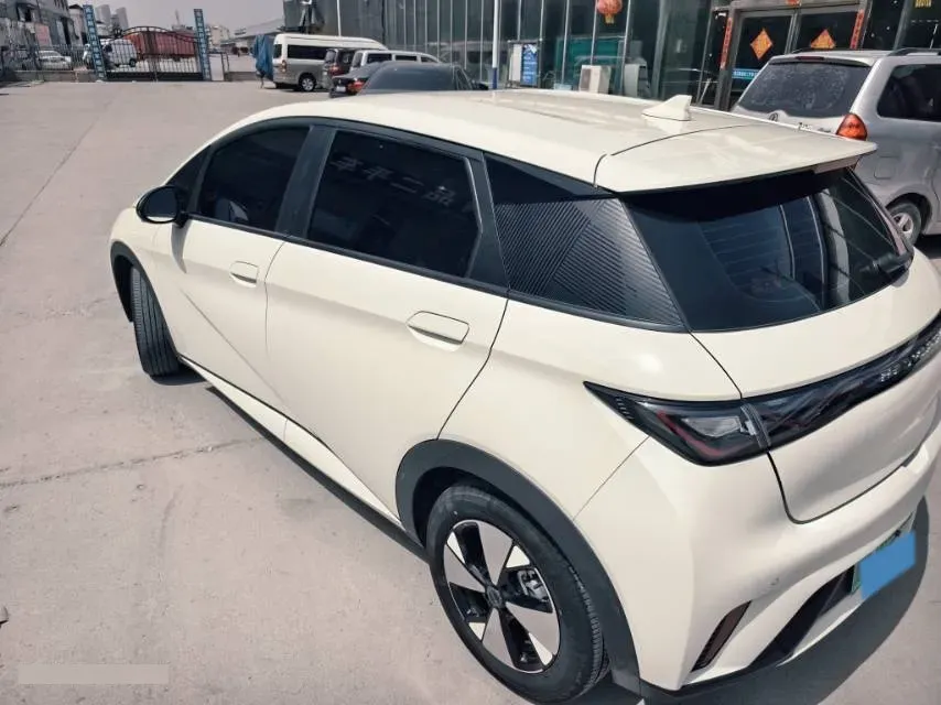 2023 BYD Dolphin BEV 44.928KWH,autocango,china used car exporter,china ev exporter,chinese used car exporter,chinese used ev exporter
