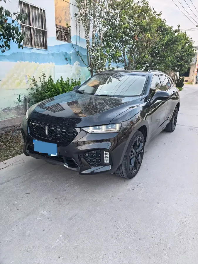 2017 WEY VV7 2.0T 234HP L4 7DCT,autocango,china used car exporter,china ev exporter,chinese used car exporter,chinese used ev exporter