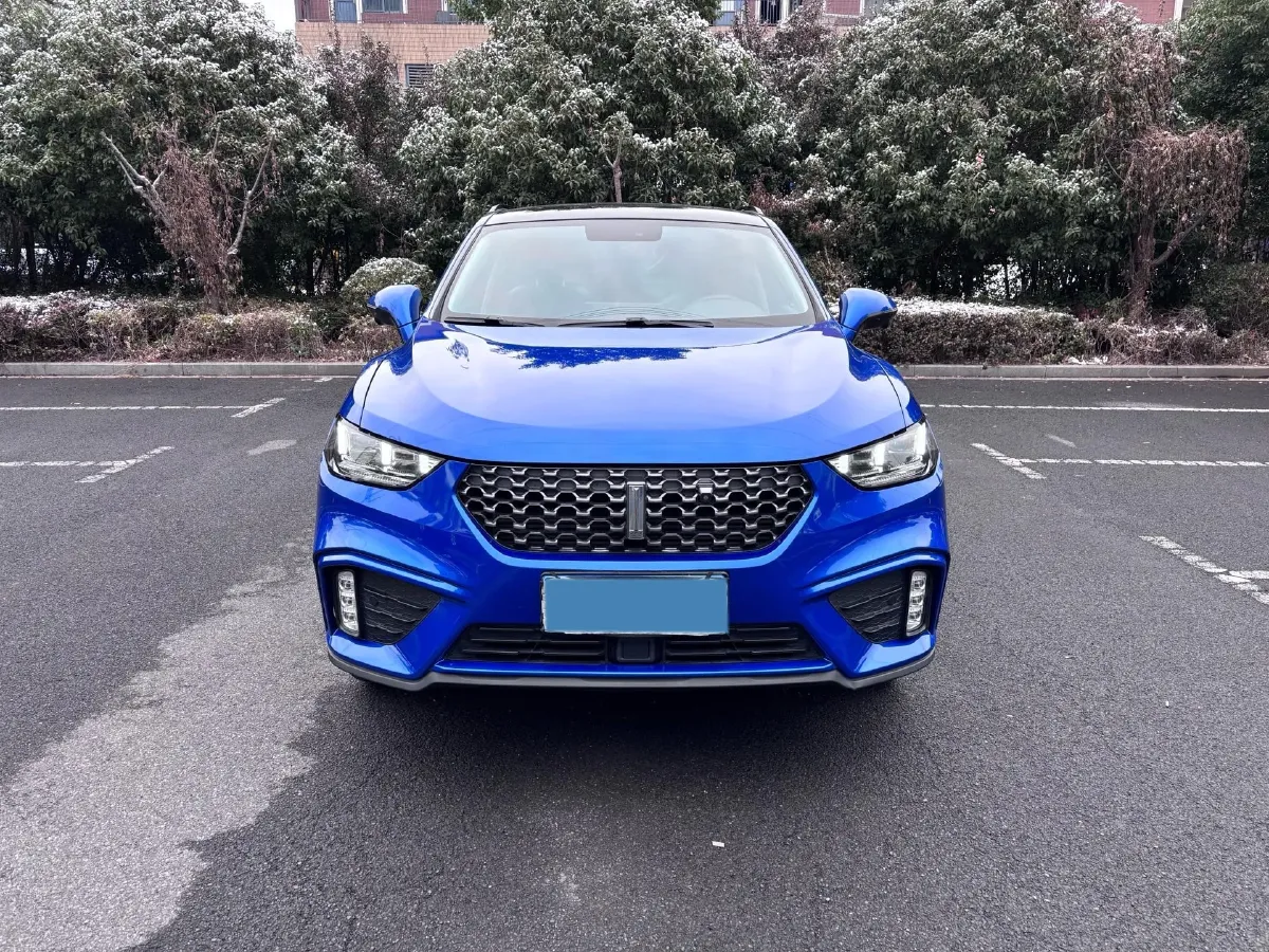 2020 WEY VV5 1.5T 171HP L4 7DCT,autocango,china used car exporter,china ev exporter,chinese used car exporter,chinese used ev exporter