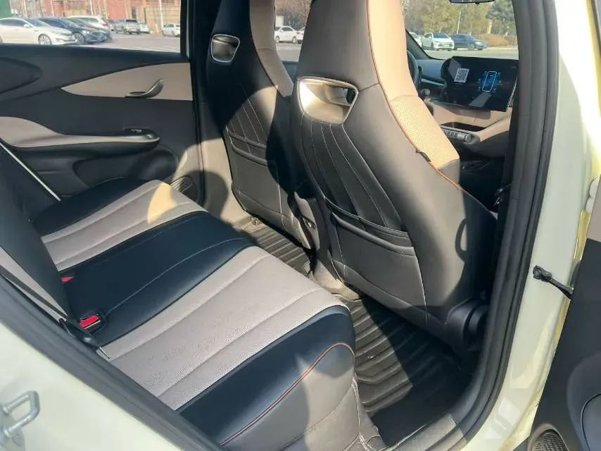 2023 BYD Dolphin BEV 44.928KWH,autocango,china used car exporter,china ev exporter,chinese used car exporter,chinese used ev exporter