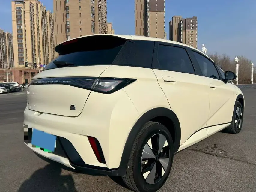 2023 BYD Dolphin BEV 44.928KWH,autocango,china used car exporter,china ev exporter,chinese used car exporter,chinese used ev exporter