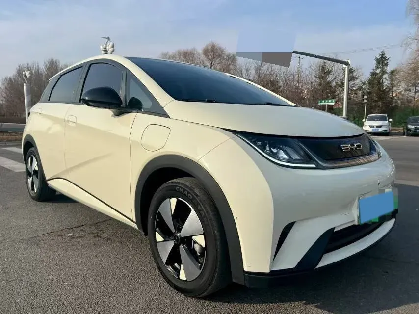 2023 BYD Dolphin BEV 44.928KWH,autocango,china used car exporter,china ev exporter,chinese used car exporter,chinese used ev exporter