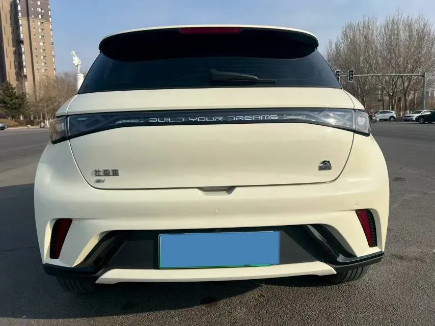 2023 BYD Dolphin BEV 44.928KWH,autocango,china used car exporter,china ev exporter,chinese used car exporter,chinese used ev exporter
