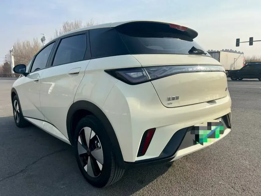 2023 BYD Dolphin BEV 44.928KWH,autocango,china used car exporter,china ev exporter,chinese used car exporter,chinese used ev exporter