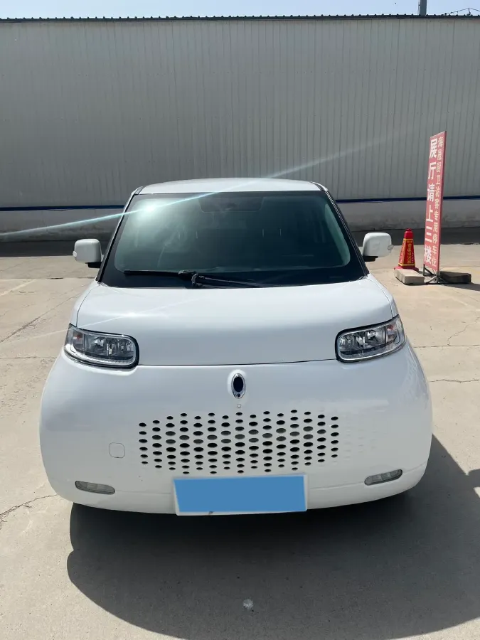 2020 Ora WhiteCat BEV 33KWH,autocango,china used car exporter,china ev exporter,chinese used car exporter,chinese used ev exporter
