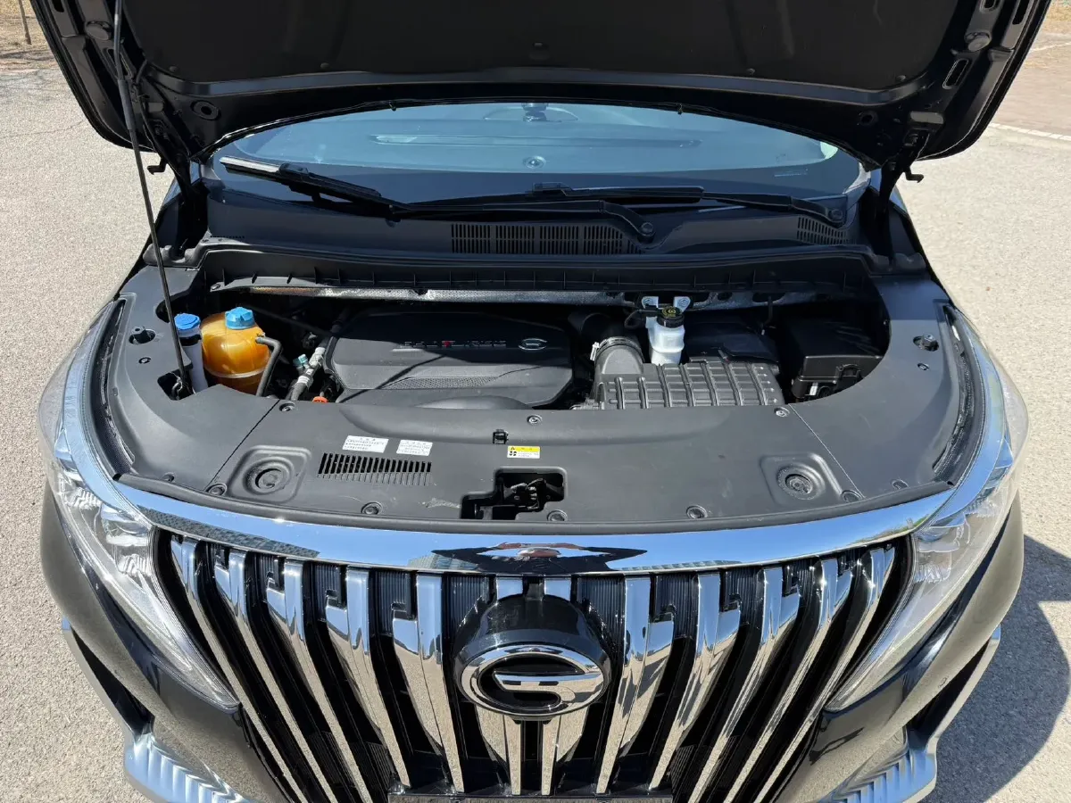 2021 GAC Trumpchi M8 2.0T 252HP L4 8AT,autocango,china used car exporter,china ev exporter,chinese used car exporter,chinese used ev exporter