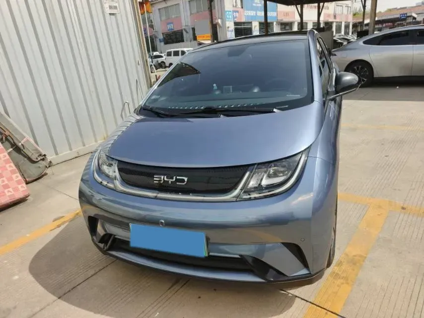 2024 BYD Dolphin BEV 44.928KWH,autocango,china used car exporter,china ev exporter,chinese used car exporter,chinese used ev exporter