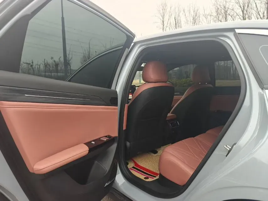 2025 BYD Sea Lion 05 DM-i 1.5L 101HP L4 E-CVT PHEV 12.9KWH,autocango,china used car exporter,china ev exporter,chinese used car exporter,chinese used ev exporter